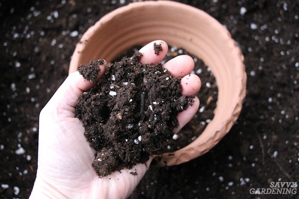 Diy Potting Soil 6 Homemade Potting Mix Recipes For The Garden