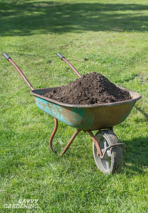 Top Dressing Lawn How To Have Thicker Healthier Grass