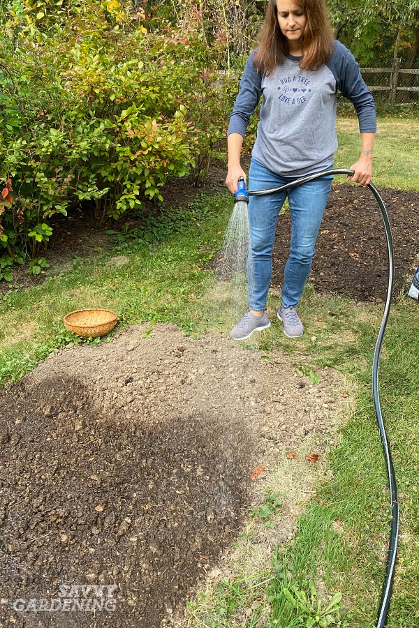 How To Plant Grass Seed A Simple Guide To Success