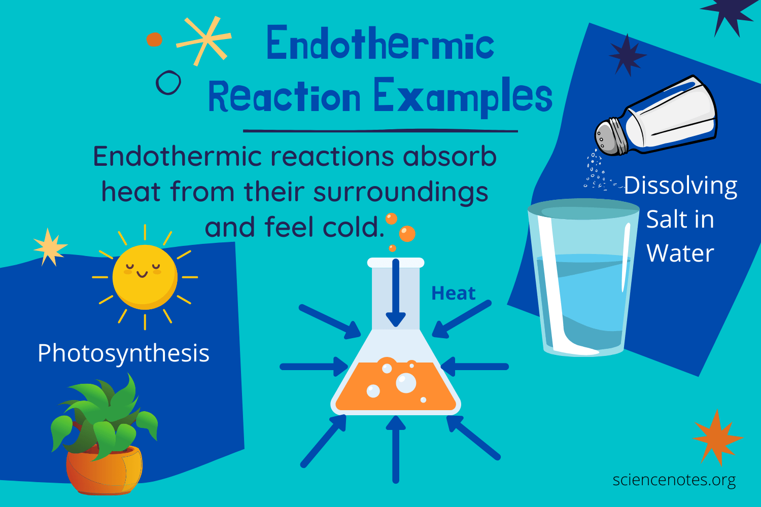 Endergonic Vs Exergonic Reactions And Examples