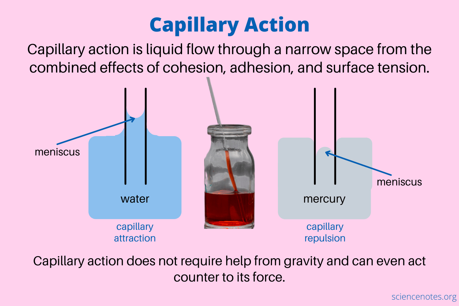 Adhesion Vs Cohesion