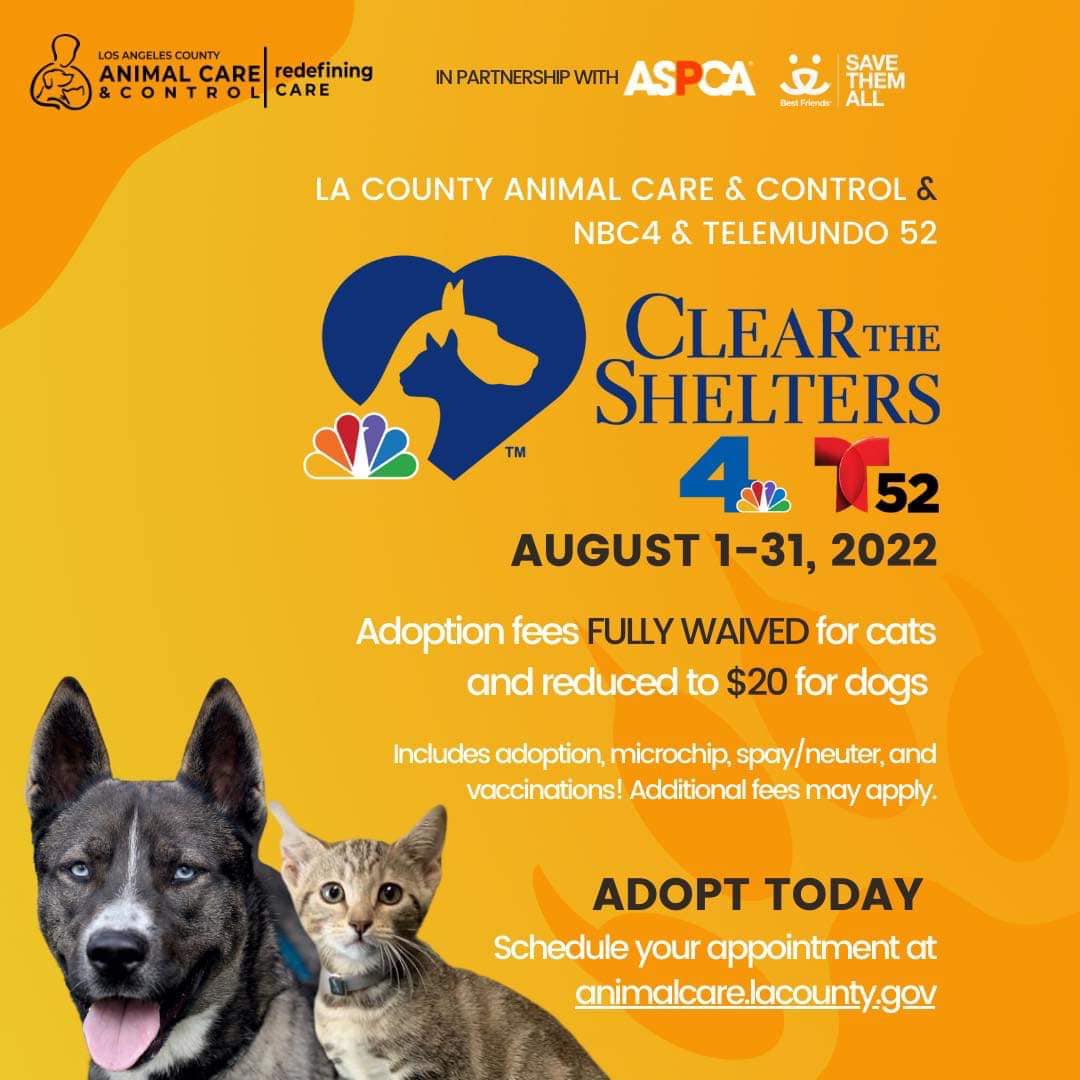 Scv News Castaic Animal Care Center Cutting Adoption Fees For Clear The Shelters Scvnews Com