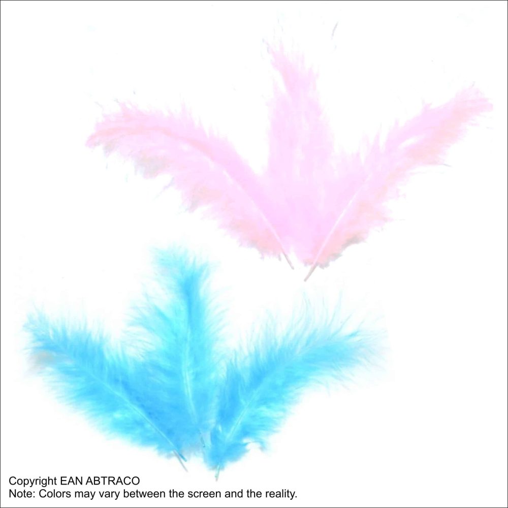 Combinaison Plumes roses et bleu clair / pluim roze + licht blauw