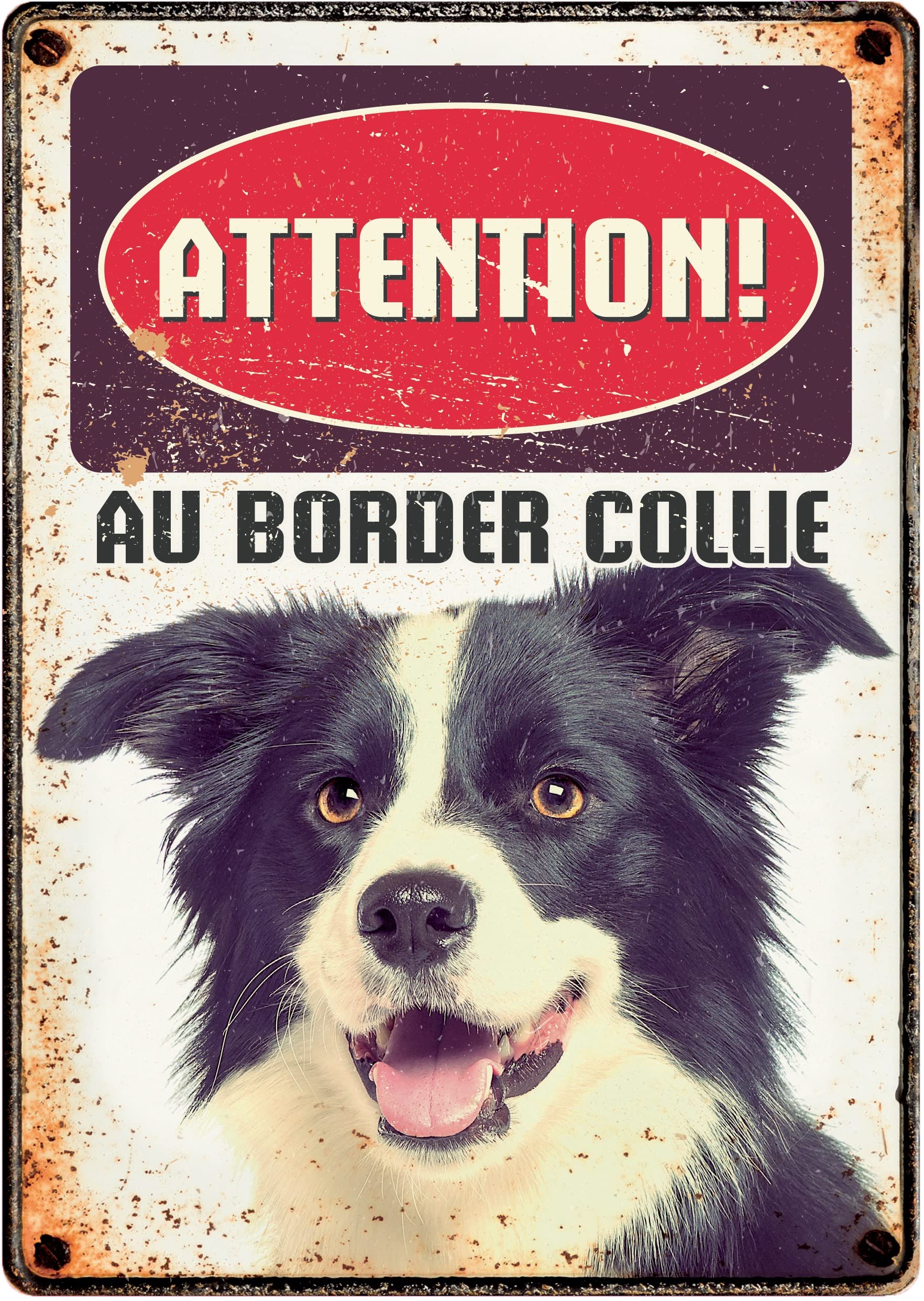 Plaque Border Collie 21 x 14.8 cm (waakbord hond )