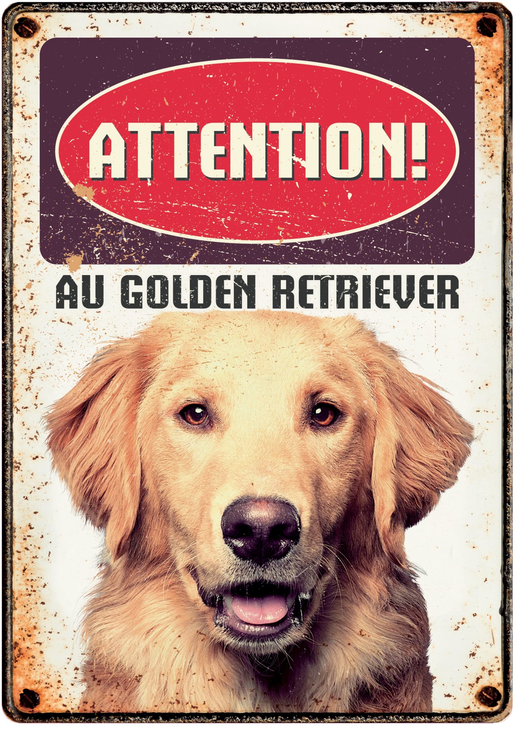 Plaque métal attention au chien Golden Retriever 21 x 14 cm