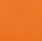 orange 05
