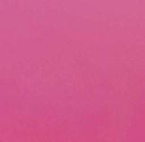 Fushia 02