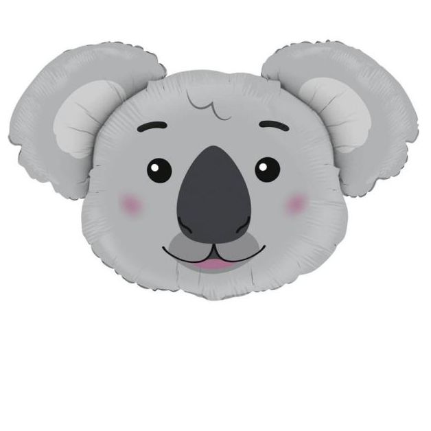 tête de Koala 94 cm ( à plat) /(hê1795)