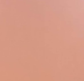 Rose de Turquie 183 turkish pink