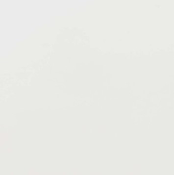Blanc White-16