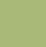 Vert Nénuphar Ninfea PR/100.149