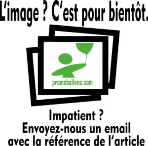 Texte indicatif