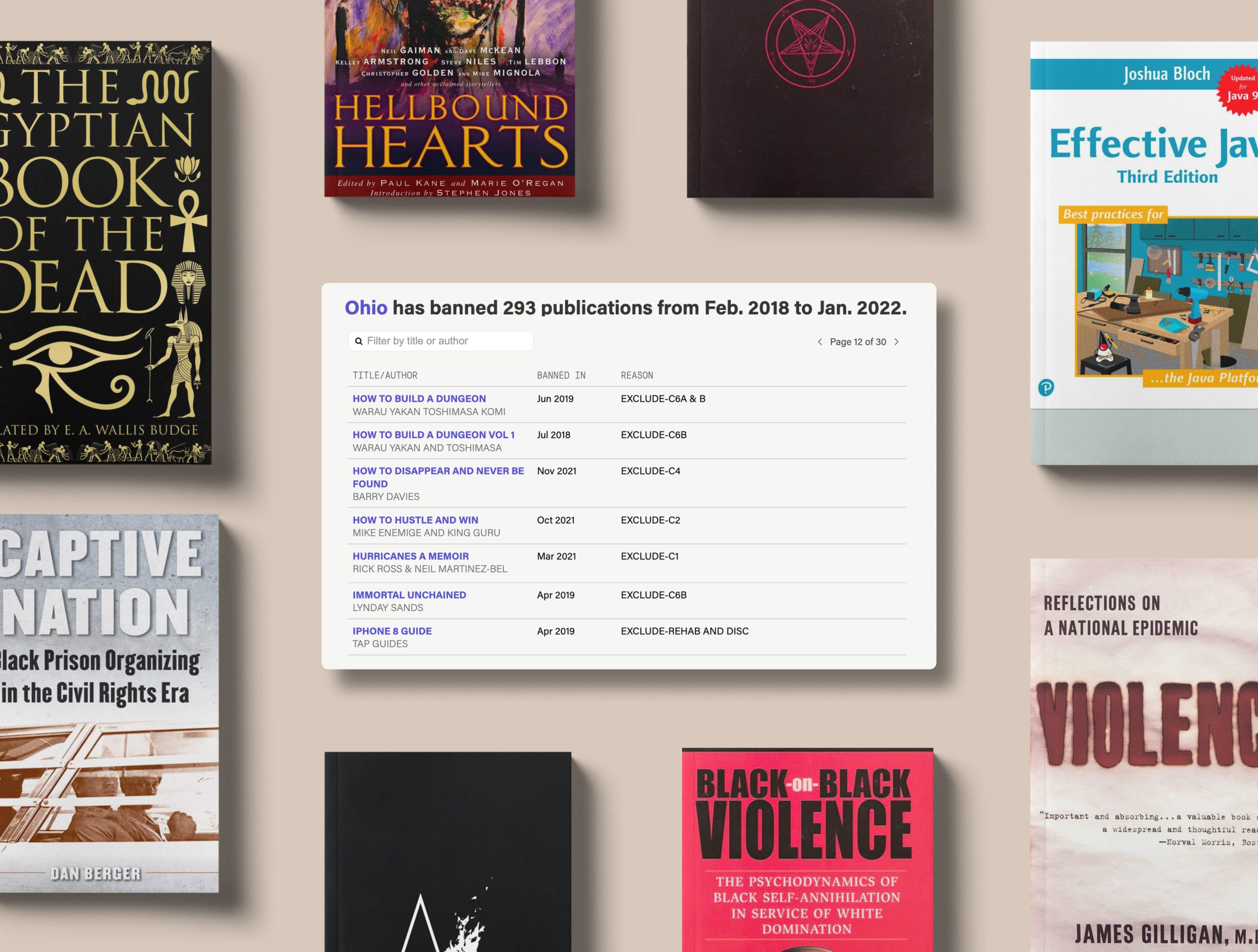 Eight cropped book covers with shadows behind them appear in a grid against a cream-colored background: “The Egyptian Book of the Dead,” “The Hellbound Heart,” “Captive Nation,” “Black on Black Violence,” “Violence: Reflections on a National Epidemic” and “Effective Java.” The center of the grid shows an image of a tool displaying which books are banned in Ohio prisons.