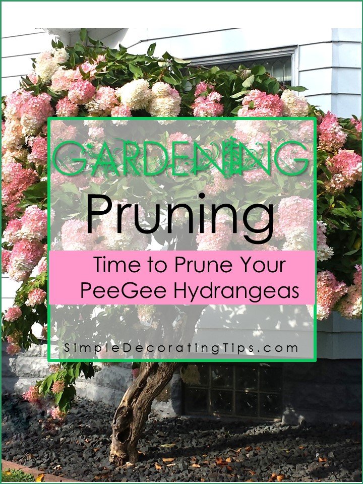 How To Prune A Hydrangea Tree Simple Decorating Tips