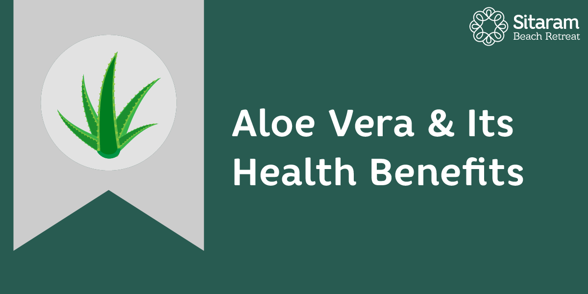 Importance Of Aloe Vera In Ayurveda 1 aloe vera benefits