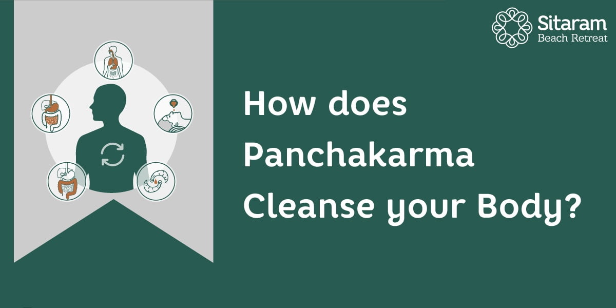 How does Panchakarma Cleanse your Body? 1 panchakarma cleanse