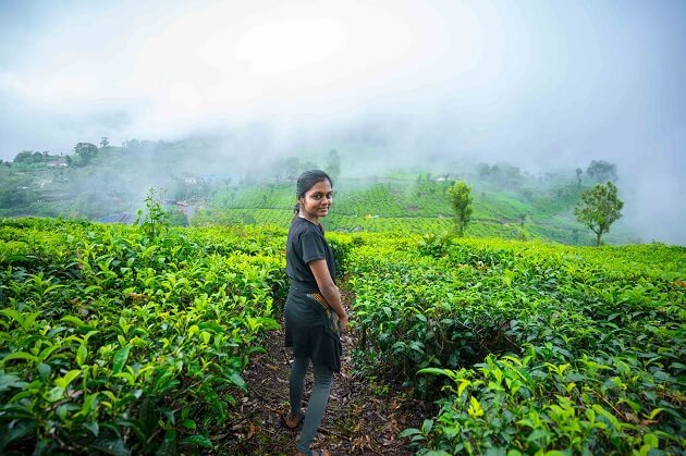 Participant-at-Tea-Plantation-web (1)
