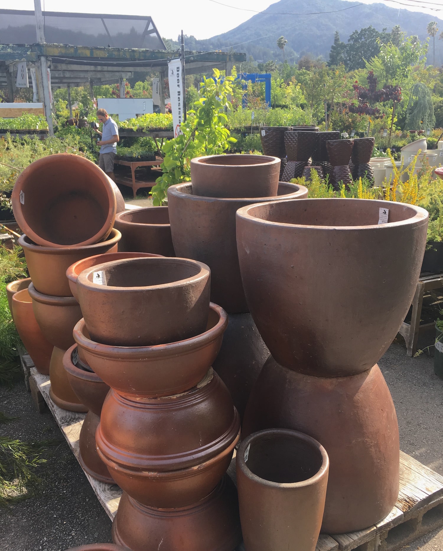 Pottery Sloat Garden Center