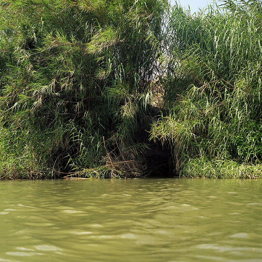 Susan Harbage Page, Path into the United States from the Rio Grande, 2008.