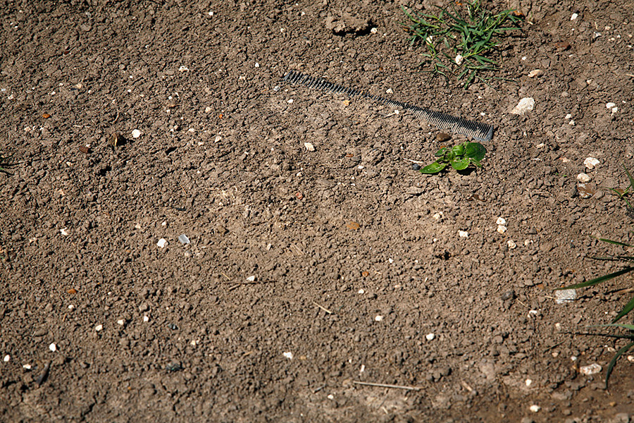 Susan Harbage Page, Buried comb, Brownsville, Texas, 2010.