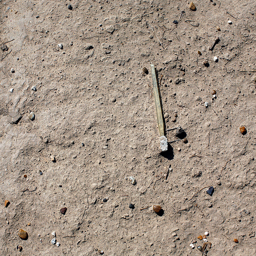 Susan Harbage Page, Yellow toothbrush, Brownsville, Texas, 2007.