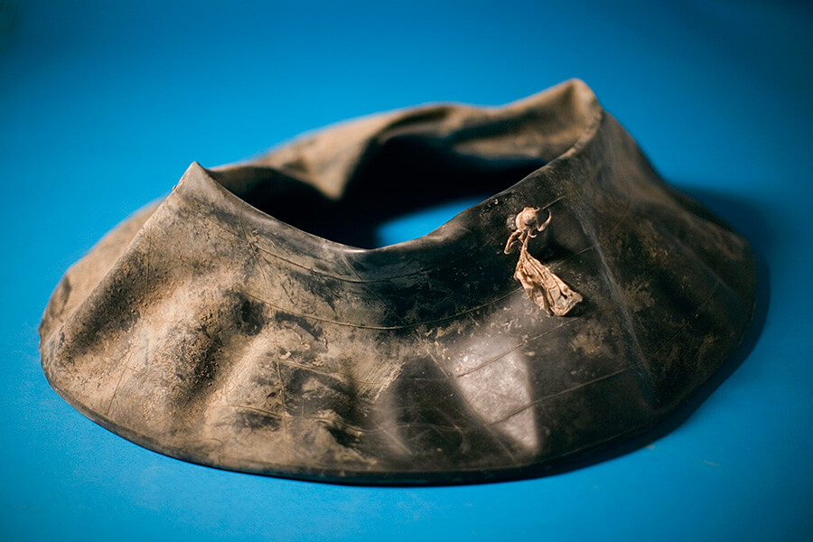 Susan Harbage Page, Archive photo, Tire, 2010.