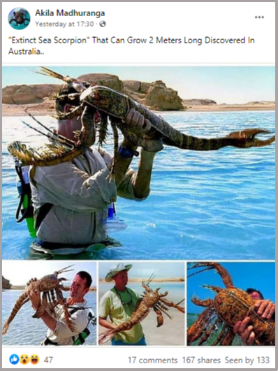 Scenes Of A Giant Extinct Sea Scorpion Found In Australia Find Out The Truth Factcrescendo Sri Lanka English