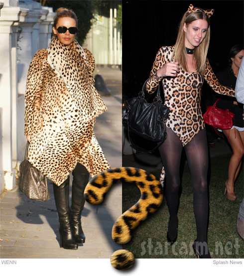 cheetah print versus leopard print