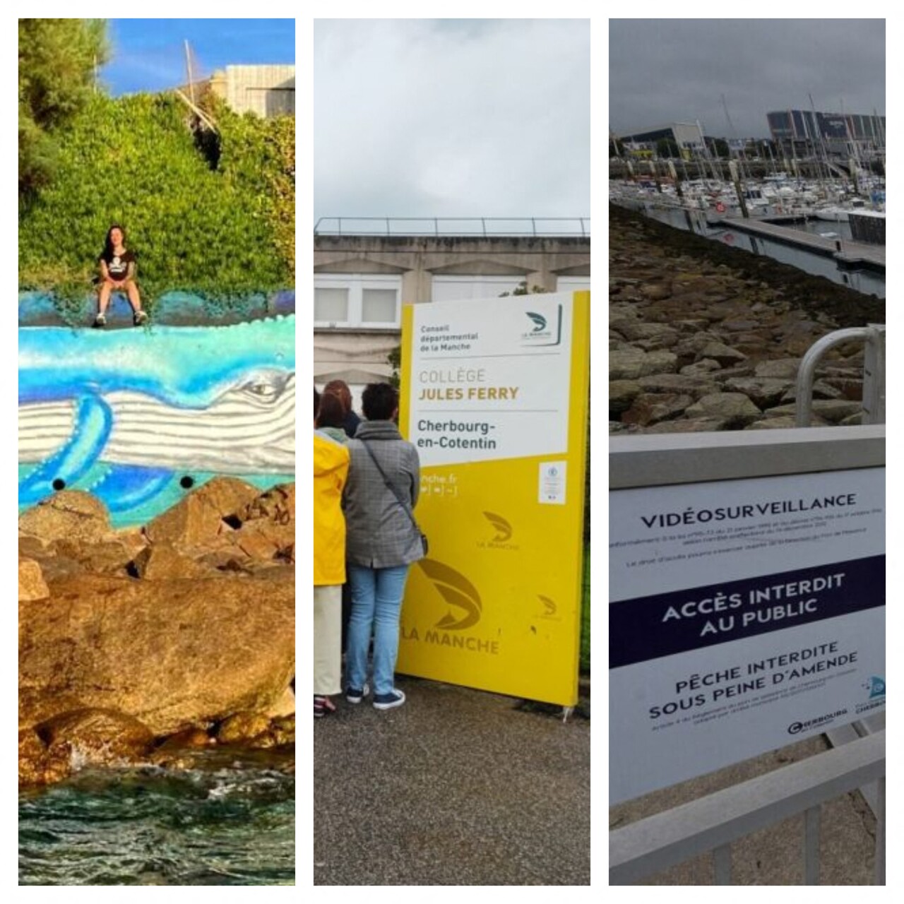 Baleine, collège fermé, Port Chantereyne...Les 5 infos à retenir du vendredi 23 septembre dans la Manche