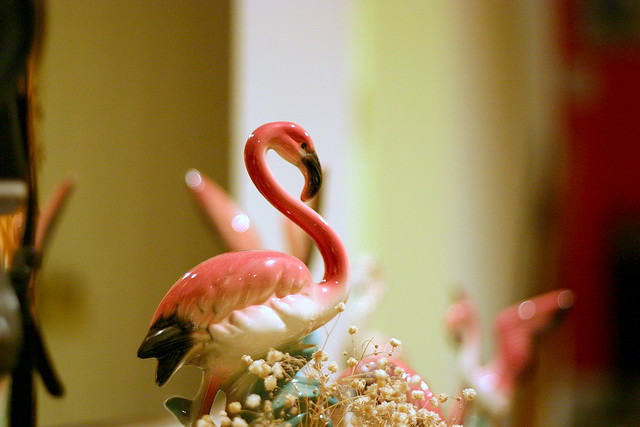 my cousin's pink flamingo collection