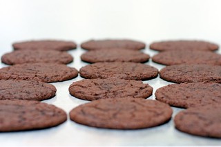 chocolate sugar cookies