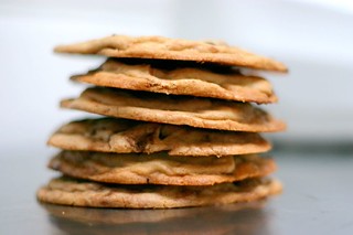 big fat chewy chocolate chip cookies