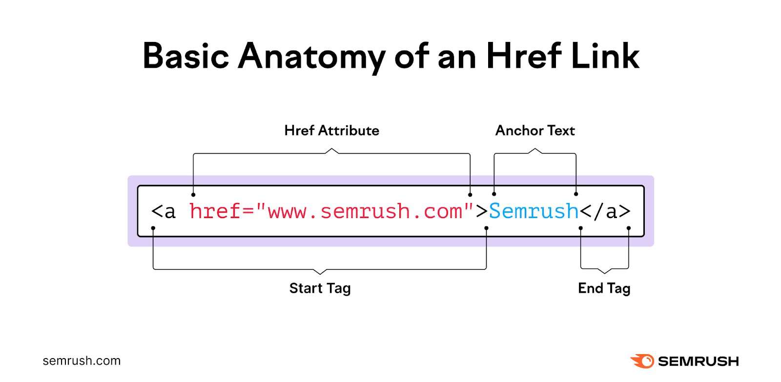 A Href Links: What They Are & How to Use Them