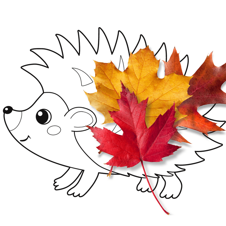 Leafy Hedgehog Ideal Caregivers 4u