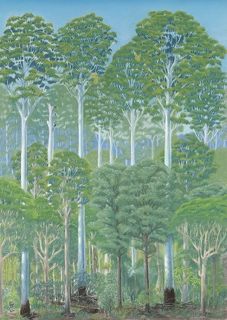 How To Draw A Forest Tasmanian Geographic