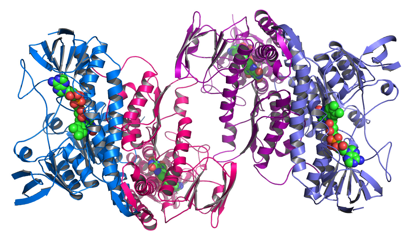 genomics