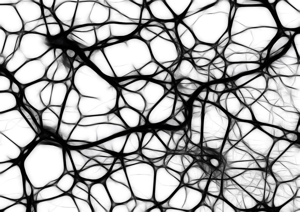 neurons-440660_960_720