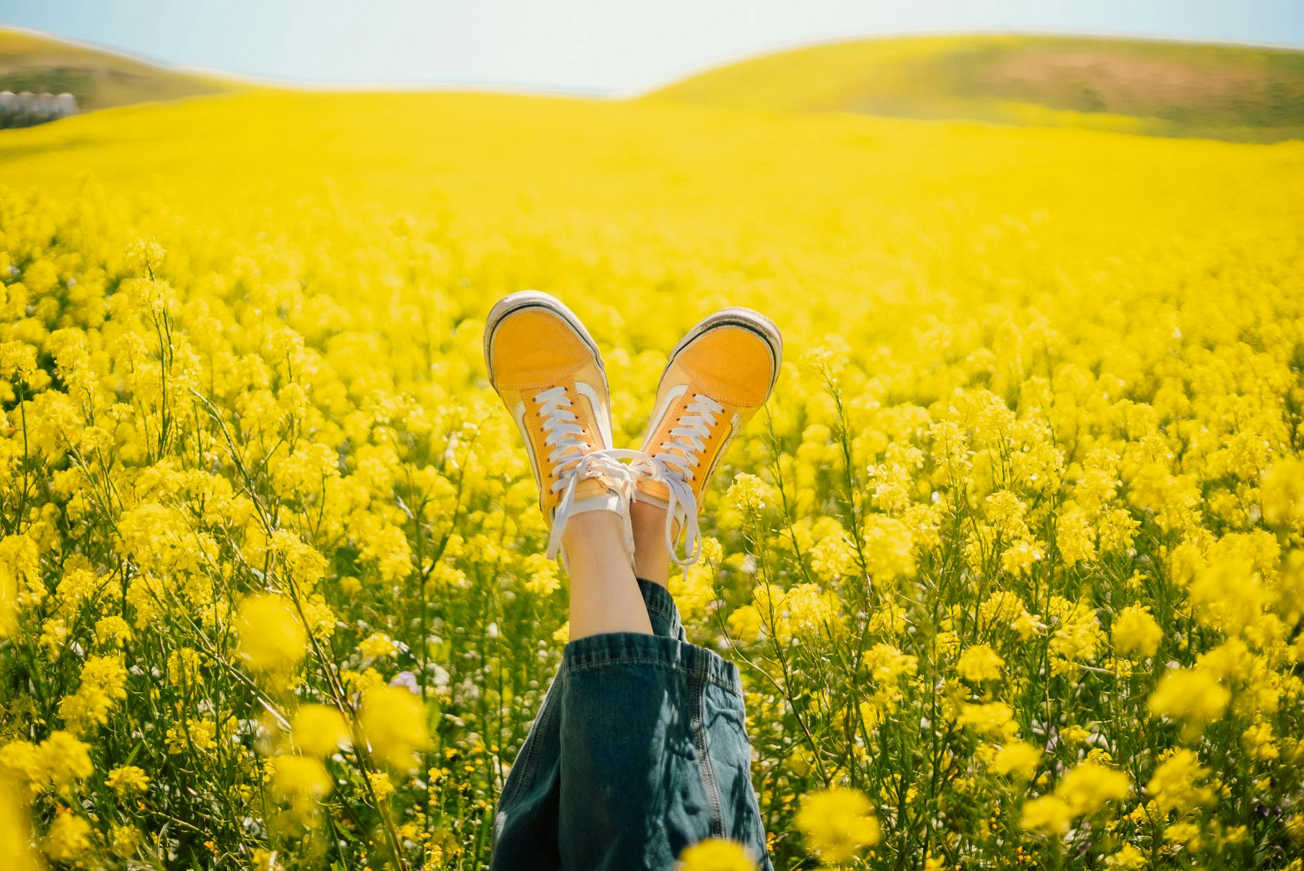 a person lying in a field of yellow flowers with their legs up