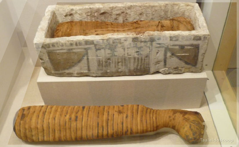 Wat Hebben De Woorden Sarcofaag En Carnivoor Met Elkaar Gemeen Taaleidoscoop