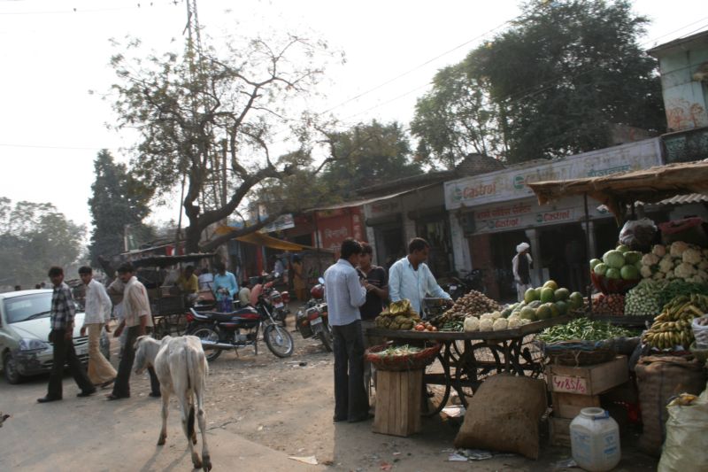 Ranthambhore city