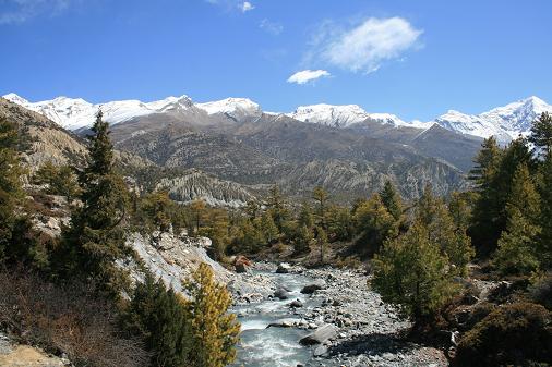 Wahoooou ! Wahoooou !