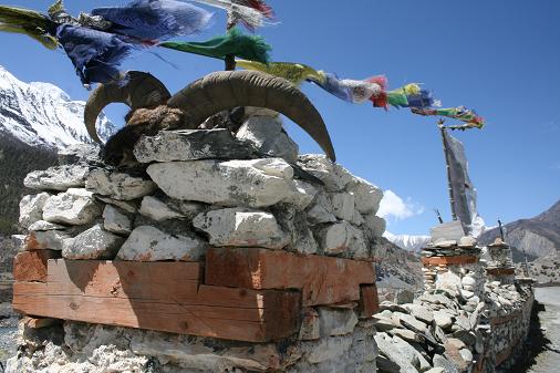 On the way to Manang Bones On the way to Manang Bones