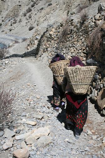 Carrier girl's Carrier girl's