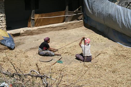 Moisoneuse bateuse Moisoneuse bateuse