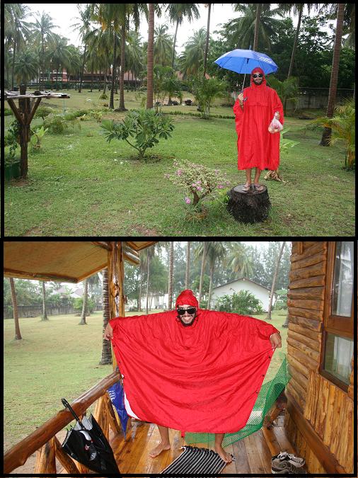 Red Totoro Red Totoro