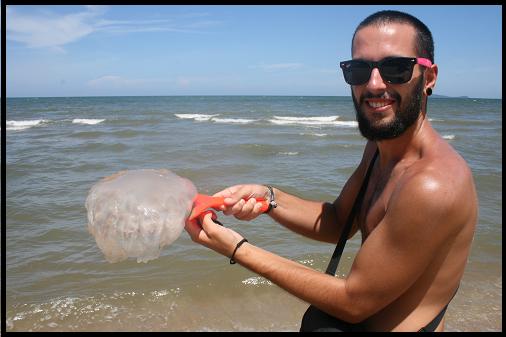 Huge Jellyfish Huge Jellyfish