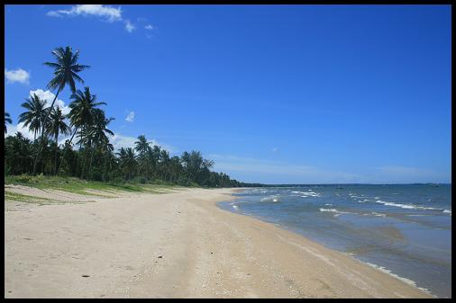 Desert beach for us ! Desert beach for us !