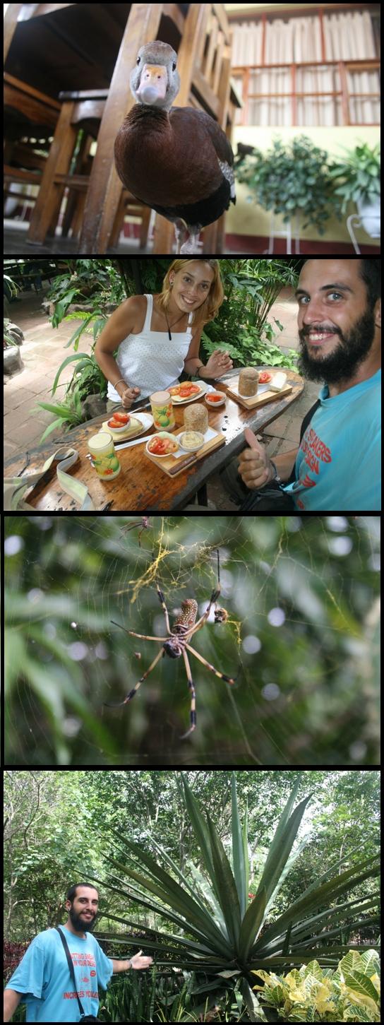 Esteli La Casita Esteli La Casita