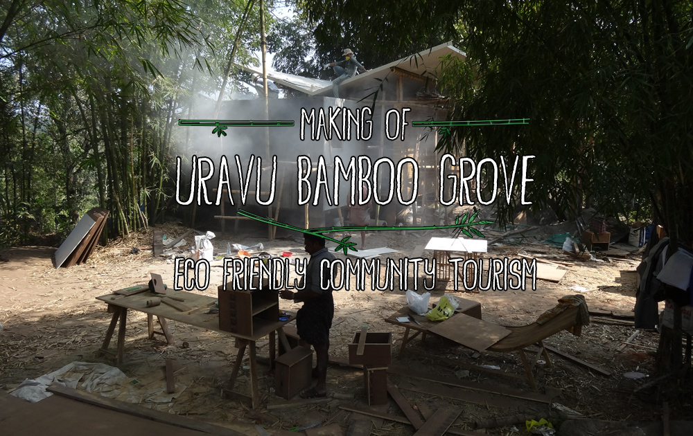 eco resort bamboo