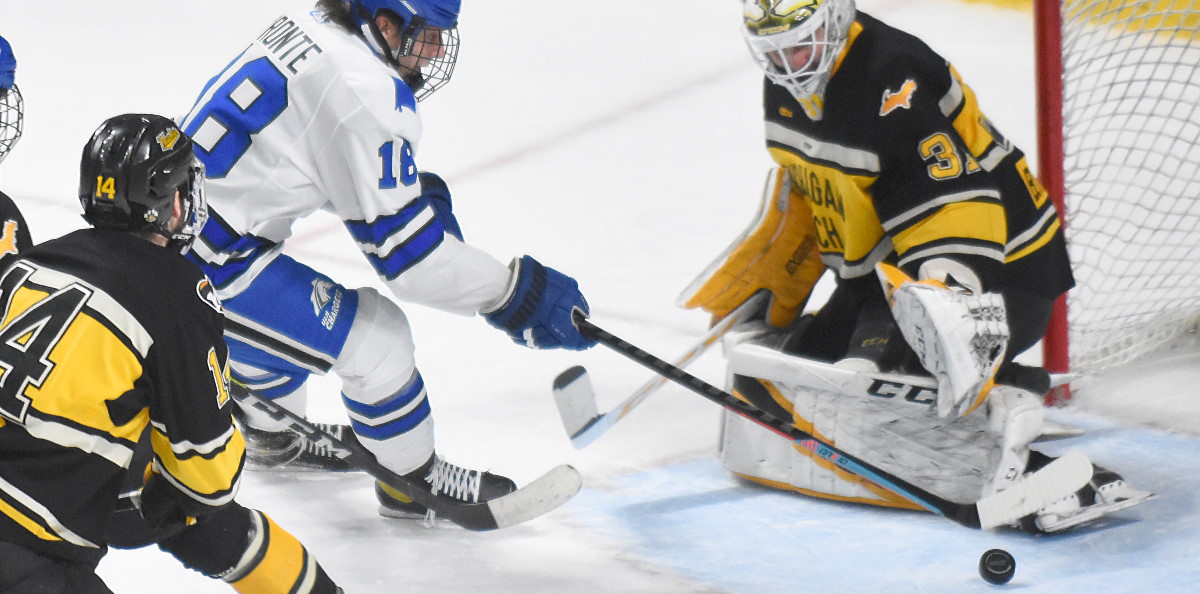 Expanding Roster In Transfer Portal Era Tech Hockey Guide